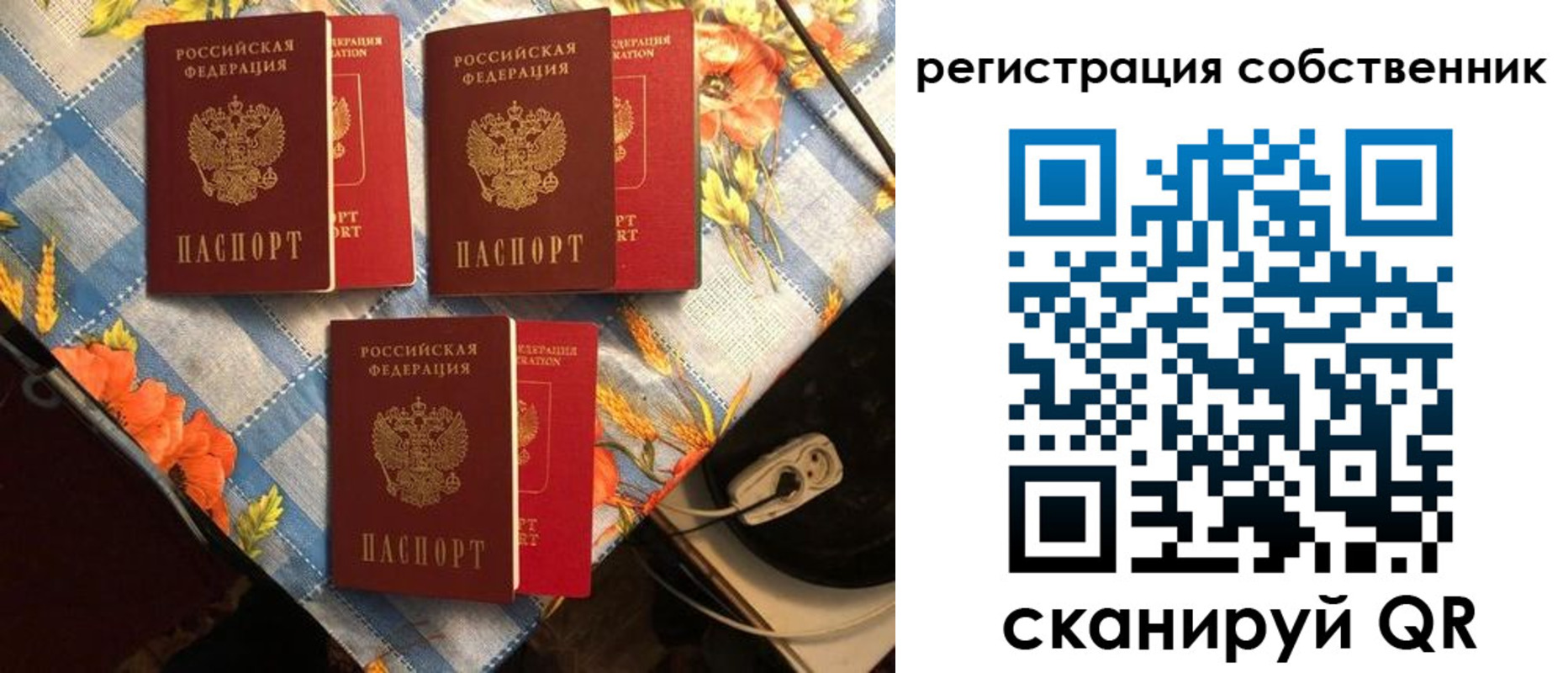 прописка в Почепе